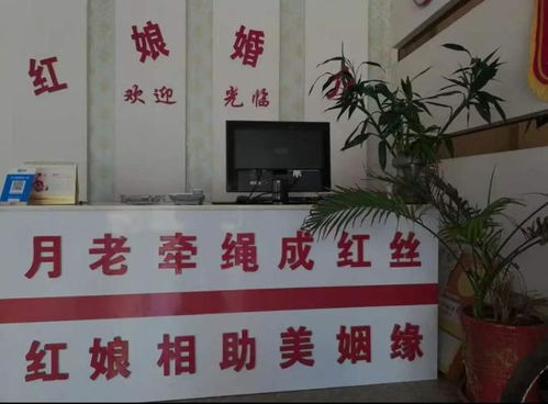 7名美艷少婦自愿與禿頭大爺發生關系,為何