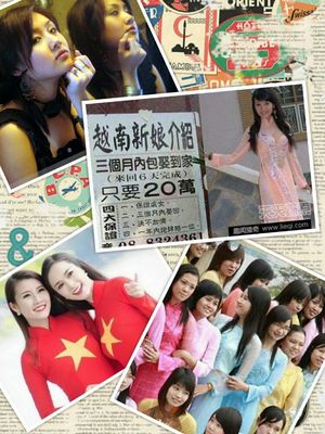 錦繡嶺南 美哉越南