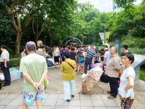 參加婚介的相親會費用 婚介所相親成功一般收取多少費用