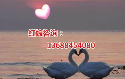 成都中老年婚介-中老年相親婚姻介紹所