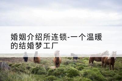 婚姻介紹所連鎖--一個溫暖的結婚夢工廠