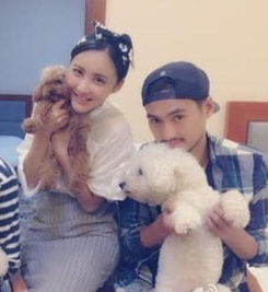 張歆藝袁弘baby與黃曉明李晨范冰冰 跑男 成婚介所