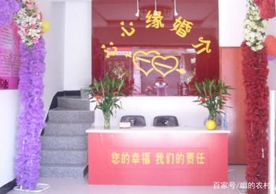 未來幾年,農村這3大行業,可能會火,掙錢容易,現在轉行來得及