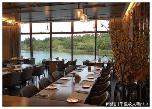 高端婚介所的海歸男 28歲年入50萬,真相竟是被富婆包養的金絲雀