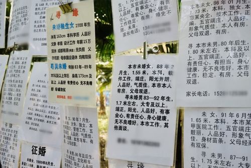 相親十年,我還單身