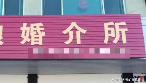 七旬教授尋伴記 婚介所的勸退與情感世界的余暉